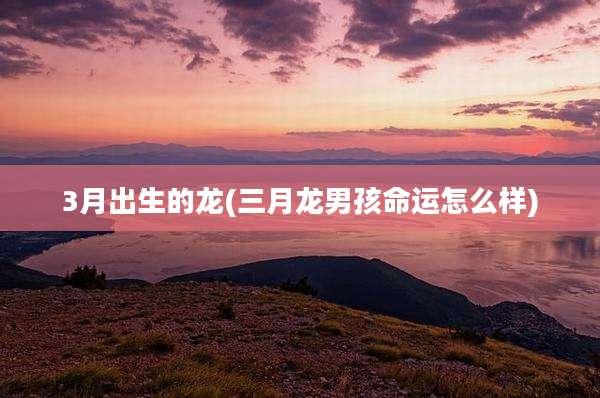 3月出生的龙(三月龙男孩命运怎么样)