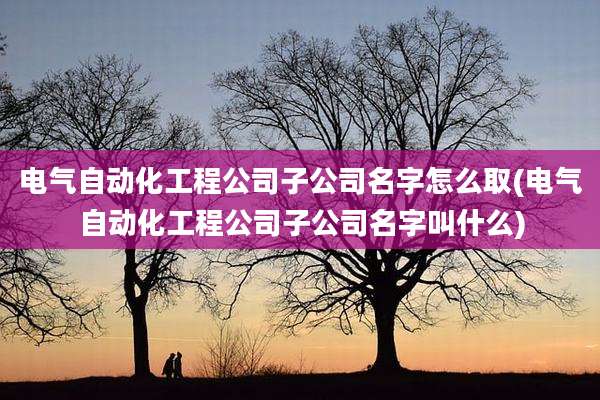 电气自动化工程公司子公司名字怎么取(电气自动化工程公司子公司名字叫什么)