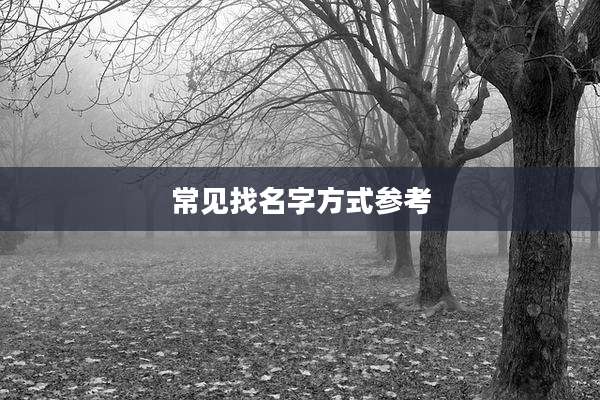 常见找名字方式参考