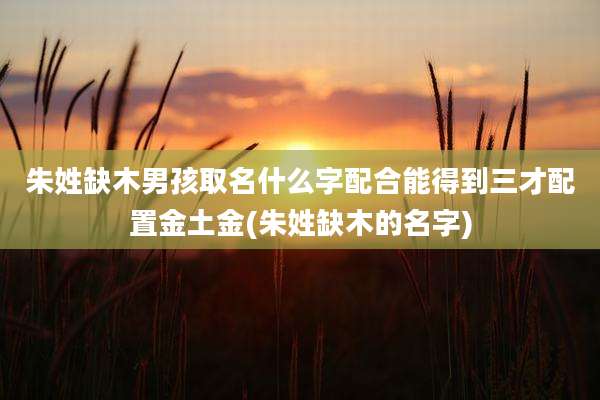 朱姓缺木男孩取名什么字配合能得到三才配置金土金(朱姓缺木的名字)