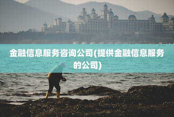金融信息服务咨询公司(提供金融信息服务的公司)