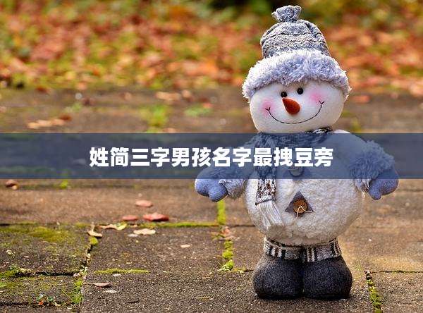姓简三字男孩名字最拽豆旁