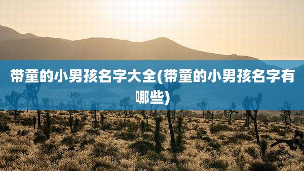 带童的小男孩名字大全(带童的小男孩名字有哪些)