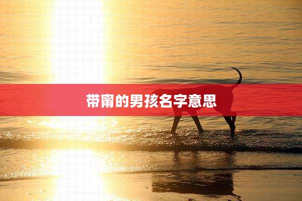 带甯的男孩名字意思