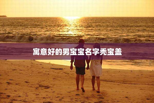 寓意好的男宝宝名字秃宝盖
