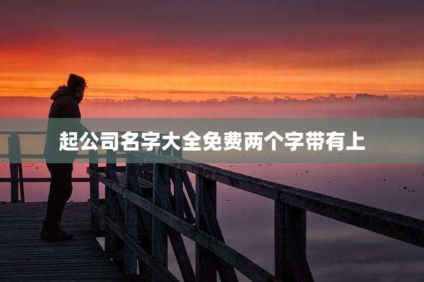 起公司名字大全免费两个字带有上