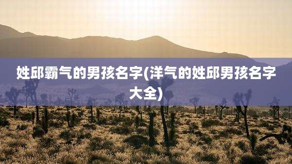 姓邱霸气的男孩名字(洋气的姓邱男孩名字大全)