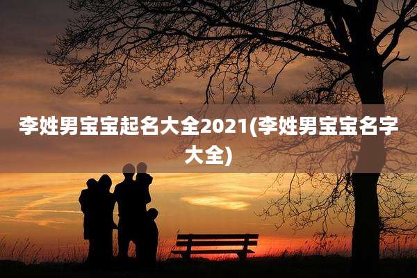 李姓男宝宝起名大全2021(李姓男宝宝名字大全)