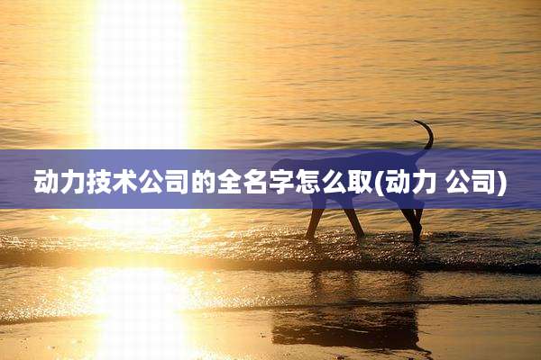 动力技术公司的全名字怎么取(动力 公司)