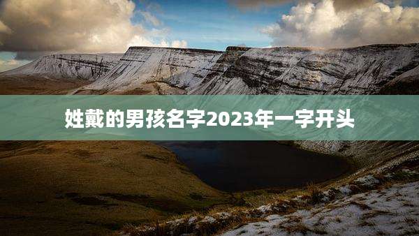 姓戴的男孩名字2023年一字开头