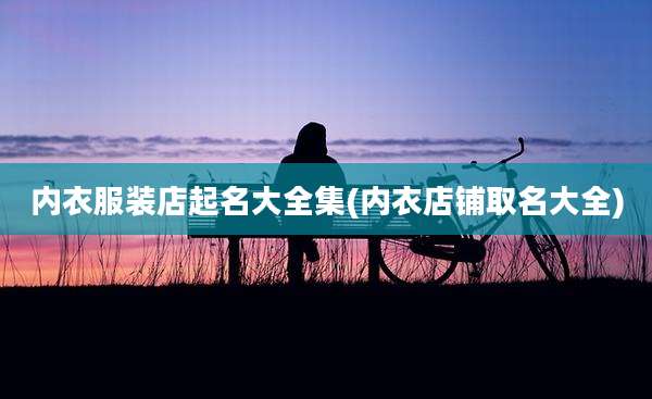 内衣服装店起名大全集(内衣店铺取名大全)