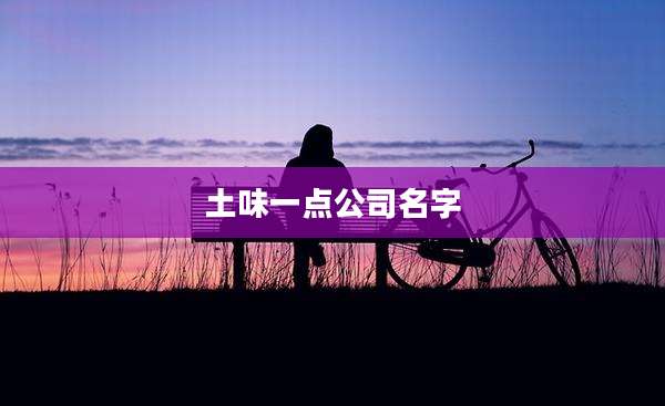 土味一点公司名字