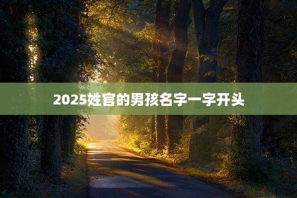 2025姓官的男孩名字一字开头