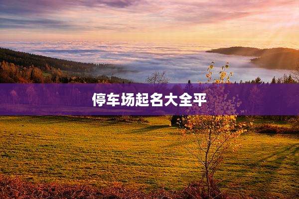 停车场起名大全平