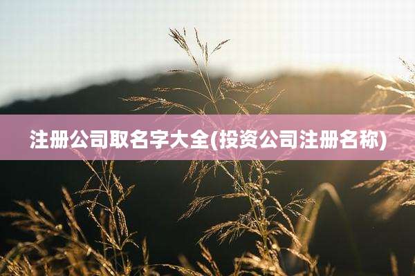 注册公司取名字大全(投资公司注册名称)