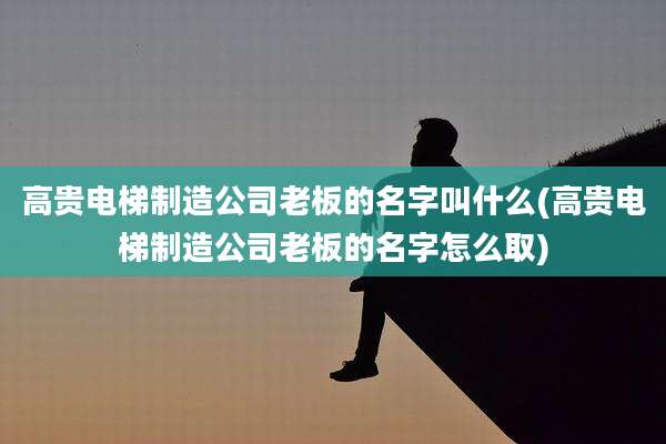 高贵电梯制造公司老板的名字叫什么(高贵电梯制造公司老板的名字怎么取)