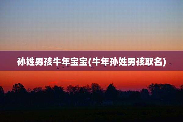 孙姓男孩牛年宝宝(牛年孙姓男孩取名)