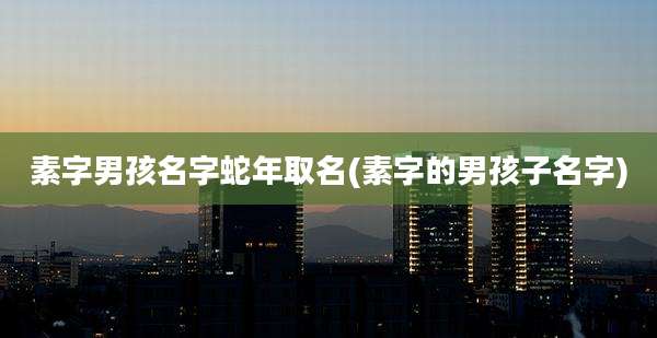 素字男孩名字蛇年取名(素字的男孩子名字)