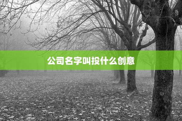 公司名字叫投什么创意