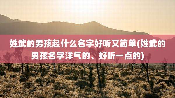 姓武的男孩起什么名字好听又简单(姓武的男孩名字洋气的、好听一点的)