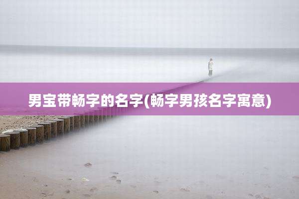 男宝带畅字的名字(畅字男孩名字寓意)