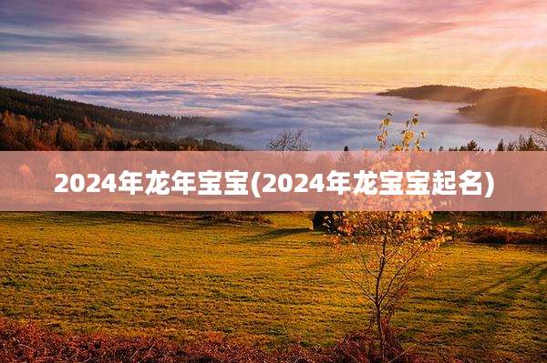 2024年龙年宝宝(2024年龙宝宝起名)