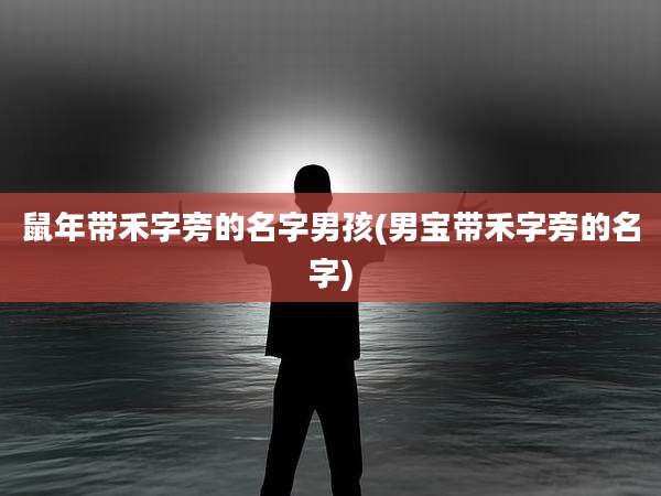 鼠年带禾字旁的名字男孩(男宝带禾字旁的名字)