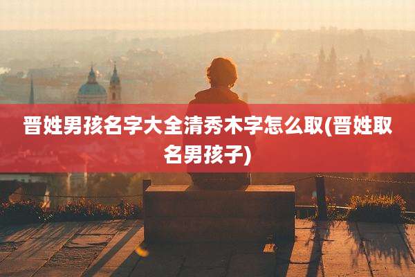 晋姓男孩名字大全清秀木字怎么取(晋姓取名男孩子)