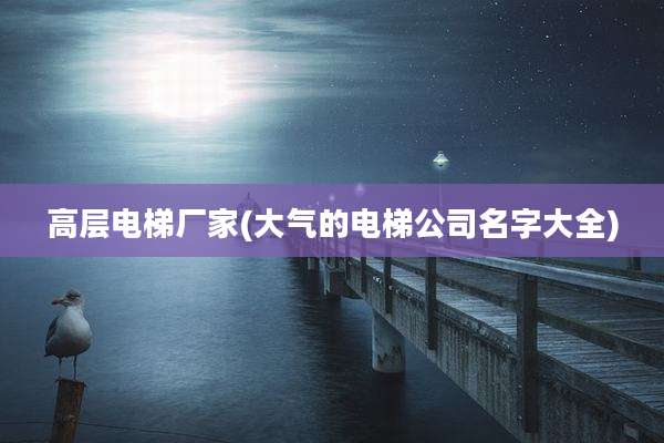 高层电梯厂家(大气的电梯公司名字大全)