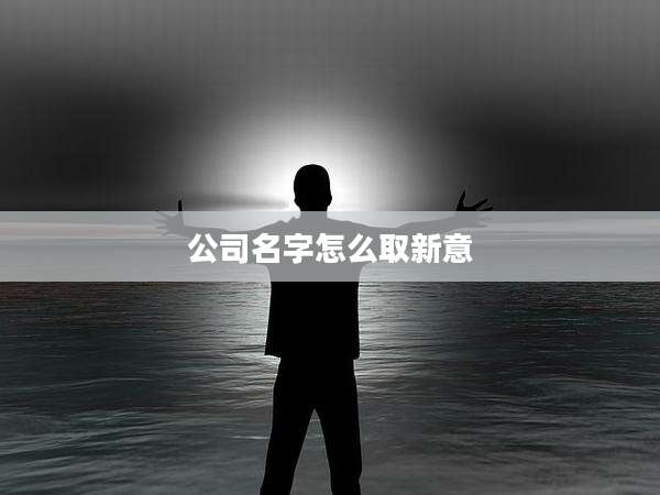 公司名字怎么取新意