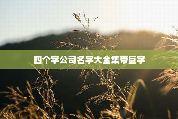 四个字公司名字大全集带巨字