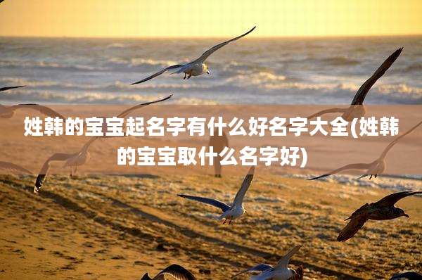 姓韩的宝宝起名字有什么好名字大全(姓韩的宝宝取什么名字好)