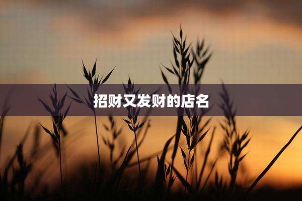 招财又发财的店名