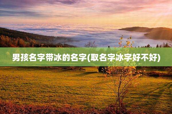 男孩名字带冰的名字(取名字冰字好不好)