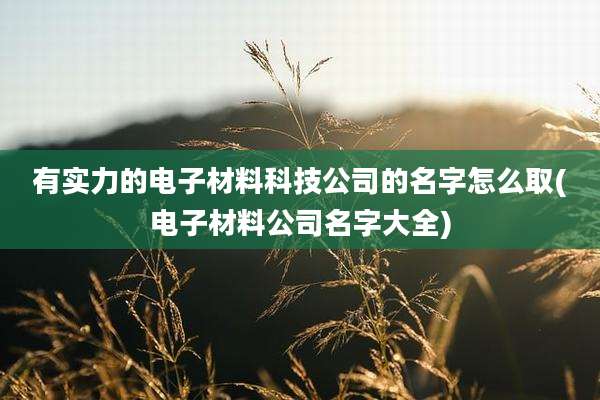 有实力的电子材料科技公司的名字怎么取(电子材料公司名字大全)