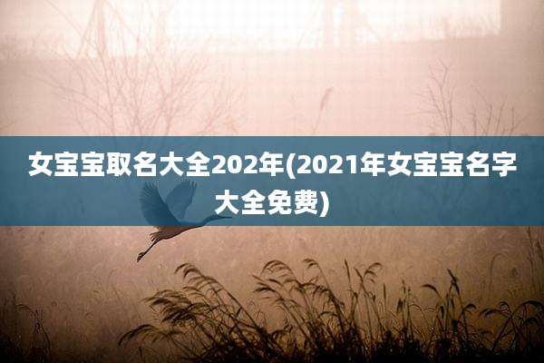 女宝宝取名大全202年(2021年女宝宝名字大全免费)