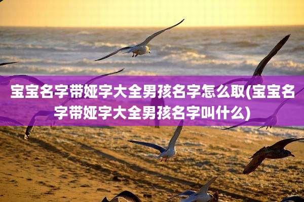 宝宝名字带娅字大全男孩名字怎么取(宝宝名字带娅字大全男孩名字叫什么)
