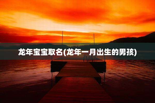 龙年宝宝取名(龙年一月出生的男孩)