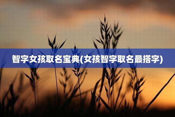 智字女孩取名宝典(女孩智字取名最搭字)