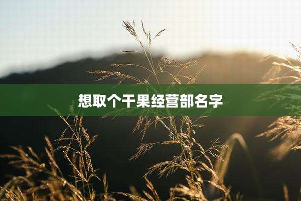 想取个干果经营部名字