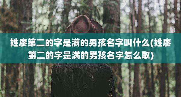 姓廖第二的字是满的男孩名字叫什么(姓廖第二的字是满的男孩名字怎么取)