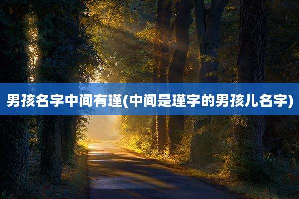 男孩名字中间有瑾(中间是瑾字的男孩儿名字)