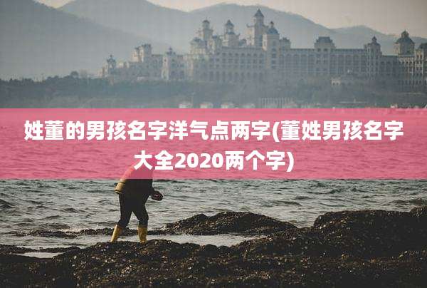 姓董的男孩名字洋气点两字(董姓男孩名字大全2020两个字)