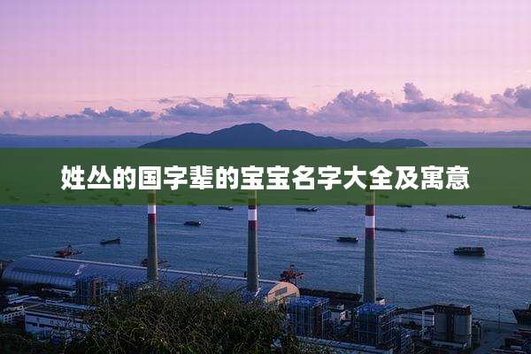 姓丛的国字辈的宝宝名字大全及寓意