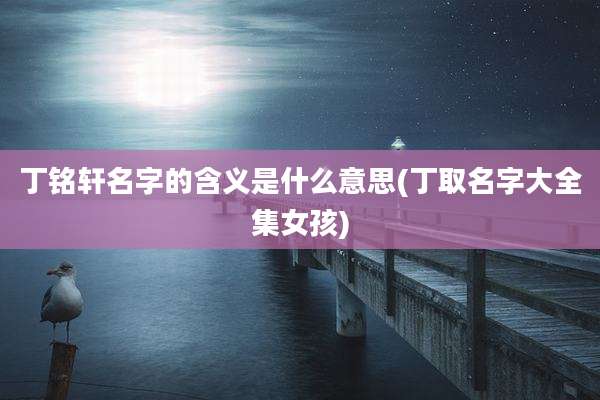丁铭轩名字的含义是什么意思(丁取名字大全集女孩)