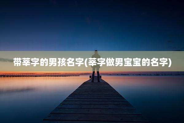 带莘字的男孩名字(莘字做男宝宝的名字)
