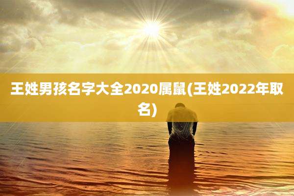 王姓男孩名字大全2020属鼠(王姓2022年取名)
