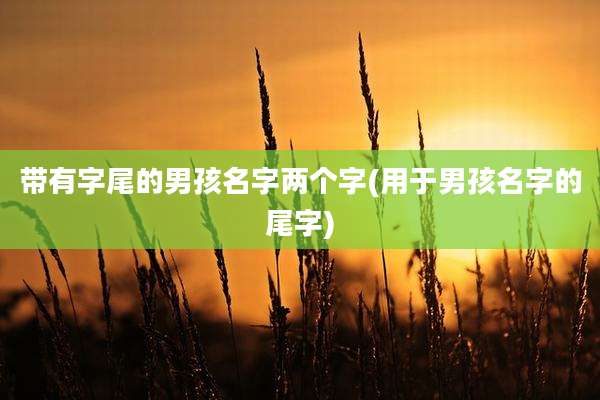 带有字尾的男孩名字两个字(用于男孩名字的尾字)
