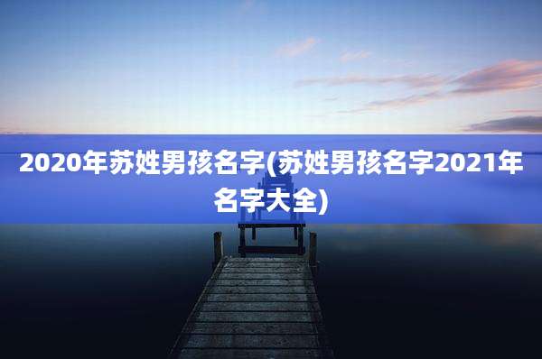 2020年苏姓男孩名字(苏姓男孩名字2021年名字大全)