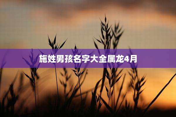 施姓男孩名字大全属龙4月